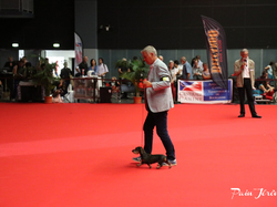 CACIB MÂCON 2018 - SAMEDI