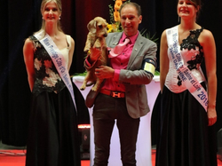 CACIB MÂCON 2018 - SAMEDI