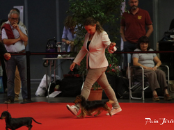 CACIB MÂCON 2018 - SAMEDI