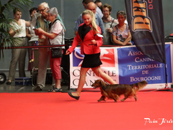 CACIB MÂCON 2018 - SAMEDI