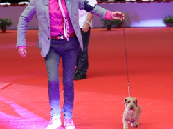 CACIB MÂCON 2018 - SAMEDI