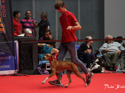 CACIB MÂCON 2018 - SAMEDI