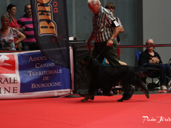 CACIB MÂCON 2018 - SAMEDI