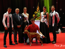 CACIB MÂCON 2018 - SAMEDI