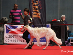 CACIB MÂCON 2018 - SAMEDI