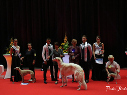 CACIB MÂCON 2018 - SAMEDI