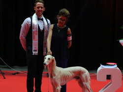 CACIB MÂCON 2018 - SAMEDI