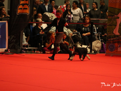 CACIB MÂCON 2018 - SAMEDI