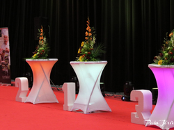 CACIB MÂCON 2018 - DIMANCHE