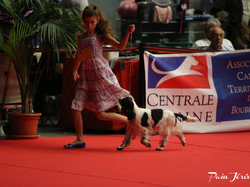 CACIB MÂCON 2018 - DIMANCHE