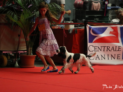 CACIB MÂCON 2018 - DIMANCHE