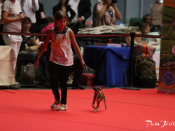 CACIB MÂCON 2018 - DIMANCHE