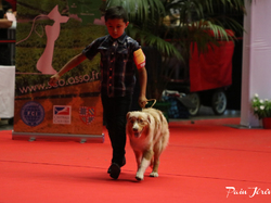 CACIB MÂCON 2018 - DIMANCHE