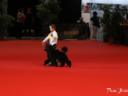 CACIB MÂCON 2018 - DIMANCHE