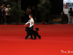 CACIB MÂCON 2018 - DIMANCHE