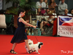 CACIB MÂCON 2018 - DIMANCHE