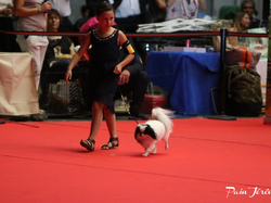 CACIB MÂCON 2018 - DIMANCHE