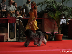 CACIB MÂCON 2018 - DIMANCHE