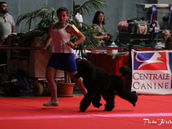 CACIB MÂCON 2018 - DIMANCHE