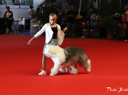 CACIB MÂCON 2018 - DIMANCHE