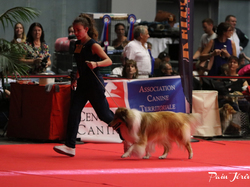 CACIB MÂCON 2018 - DIMANCHE