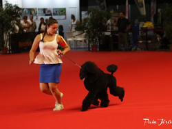 CACIB MÂCON 2018 - DIMANCHE