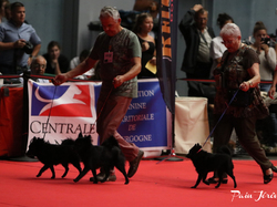 CACIB MÂCON 2018 - DIMANCHE