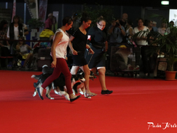 CACIB MÂCON 2018 - DIMANCHE