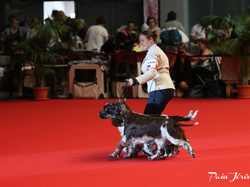 CACIB MÂCON 2018 - DIMANCHE