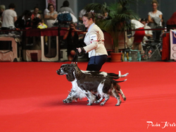 CACIB MÂCON 2018 - DIMANCHE