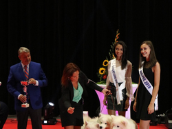 CACIB MÂCON 2018 - DIMANCHE