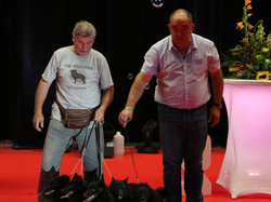 CACIB MÂCON 2018 - DIMANCHE