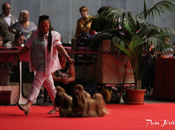 CACIB MÂCON 2018 - DIMANCHE