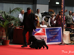 CACIB MÂCON 2018 - DIMANCHE