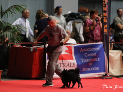 CACIB MÂCON 2018 - DIMANCHE