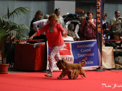 CACIB MÂCON 2018 - DIMANCHE