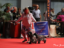 CACIB MÂCON 2018 - DIMANCHE