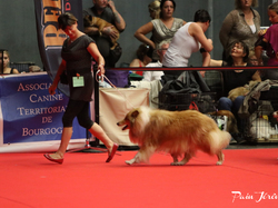 CACIB MÂCON 2018 - DIMANCHE