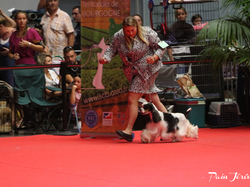 CACIB MÂCON 2018 - DIMANCHE