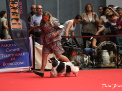 CACIB MÂCON 2018 - DIMANCHE