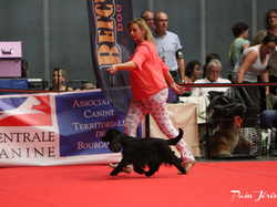 CACIB MÂCON 2018 - DIMANCHE