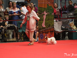 CACIB MÂCON 2018 - DIMANCHE