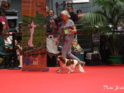 CACIB MÂCON 2018 - DIMANCHE