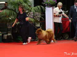 CACIB MÂCON 2018 - DIMANCHE