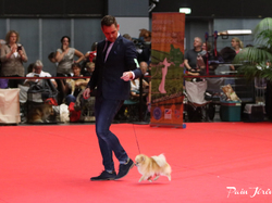 CACIB MÂCON 2018 - DIMANCHE