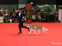 CACIB MÂCON 2018 - DIMANCHE