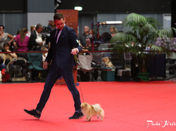 CACIB MÂCON 2018 - DIMANCHE