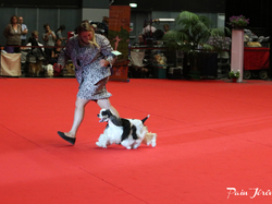 CACIB MÂCON 2018 - DIMANCHE