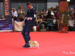 CACIB MÂCON 2018 - DIMANCHE