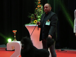 CACIB MÂCON 2018 - DIMANCHE